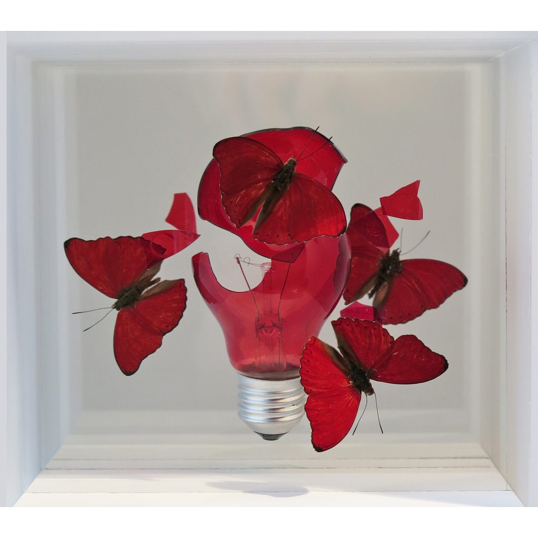 Jean-Luc MANIOULOUX, Impact, Papillons naturalisés, ampoule et plexiglas, 20 x 20 x 20 cm