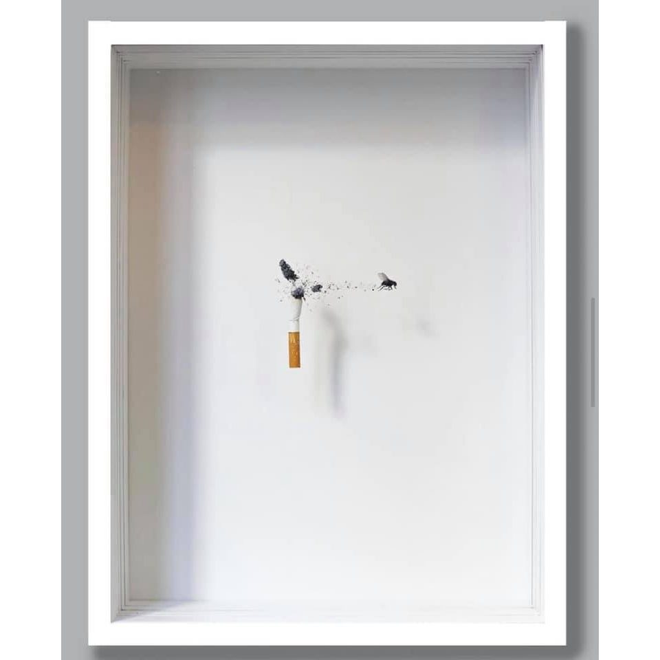 Jean-Luc MANIOULOUX, Smoking Kills, Insecte naturalisé, cigarette, verre, et plexiglas, 42 x 32 cm