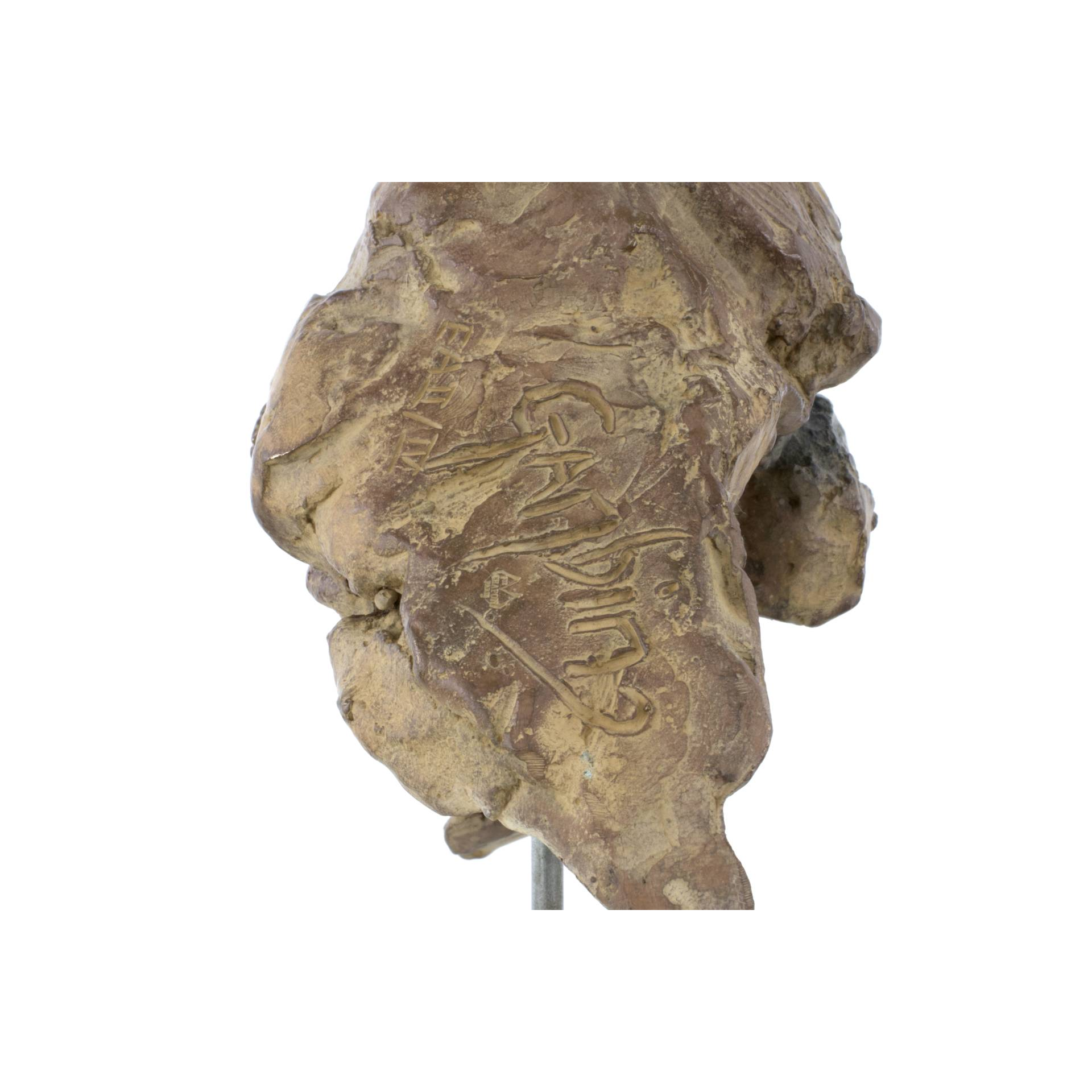 Jean-François GAMBINO - Tête de jeune orang outan - Bronze, 21 X 14 X 15 cm ( dont 9,5 cm de hauteur socle supplémentaire)